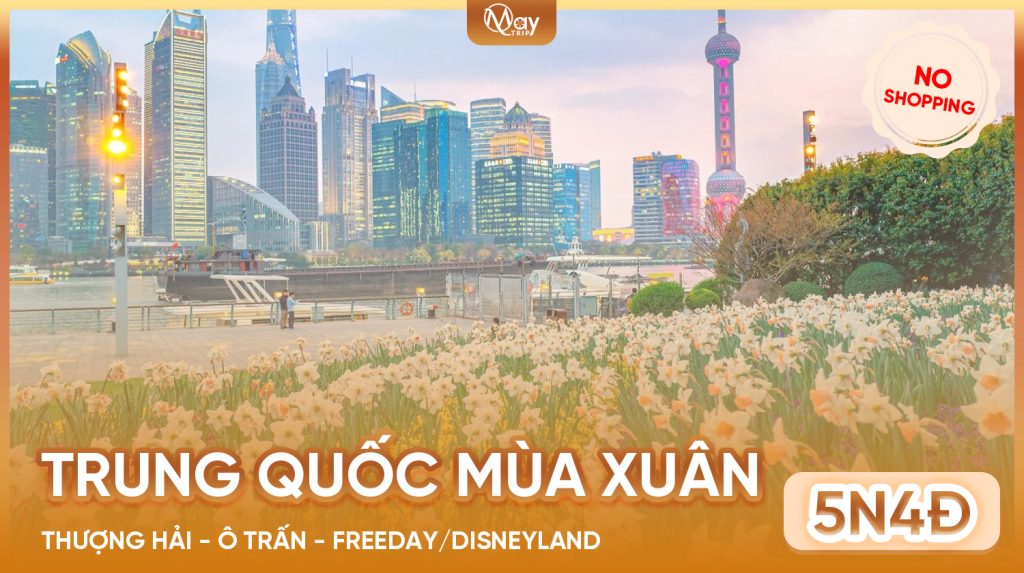 Tour Trung Quốc Mùa Xuân 2026: Thượng Hải – Ô Trấn – Freeday/Disneyland