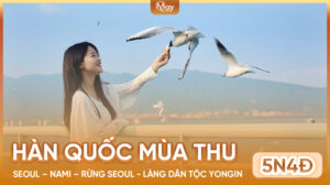 Tour Hàn Quốc Mùa Thu: Seoul – Nami- Làng Dân Tộc Yongin