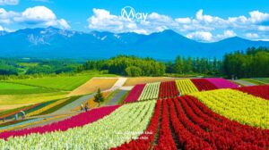 Du Lịch Nhật Bản Mùa Hè: Thời Tiết Lý Tưởng Và Ẩm Thực Đặc Trưng