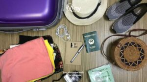 Đi Du Lịch Nhật Bản Cần Biết: Những Vật Dụng Được Mang Theo và Bị Cấm