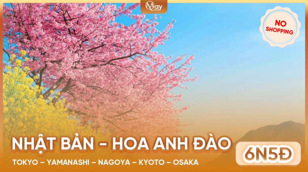 Tour Nhật Bản Mùa Hoa Anh Đào 2026: Hành Trình Săn Sakura Tuyệt Đẹp
