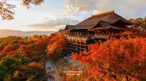 5 Ngôi Chùa Nổi Tiếng Nhất Nhật Bản