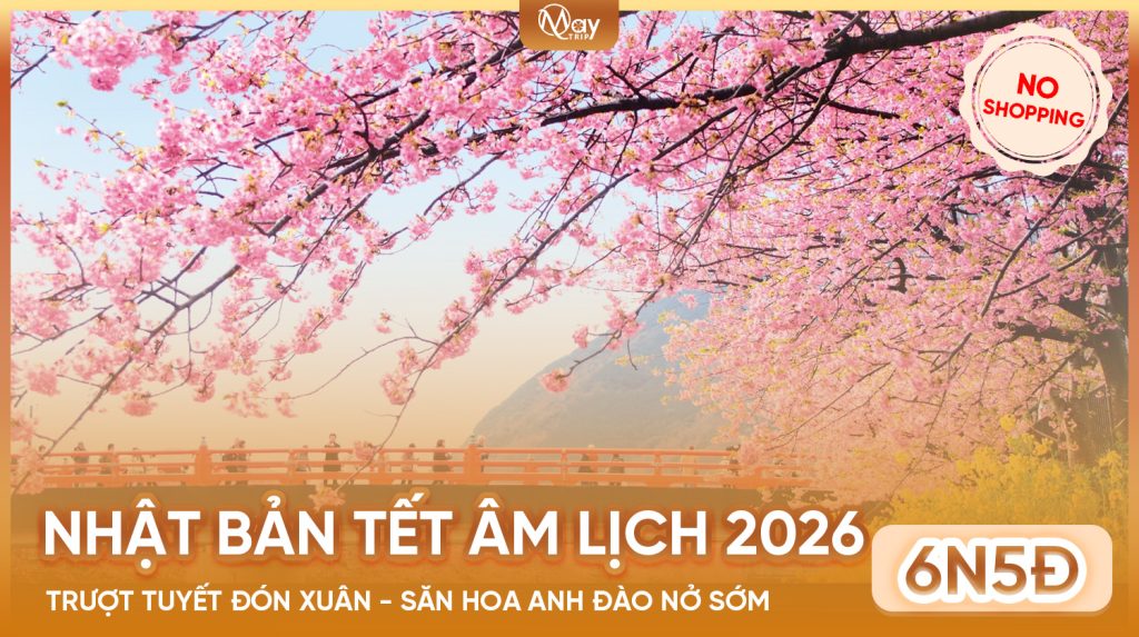 Tour Nhật Bản Tết Âm Lịch 2026: Trượt Tuyết Đón Xuân – Săn Hoa Anh Đào Nở Sớm