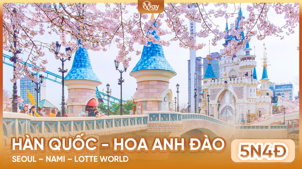 Tour Hàn Quốc Mùa Hoa Anh Đào 2026: SEOUL – NAMI – LOTTE WORLD