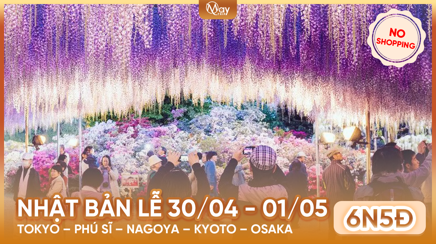Tour Nhật Bản Lễ 30/4: Lạc Bước Trong Sắc Hoa Tử Đằng
