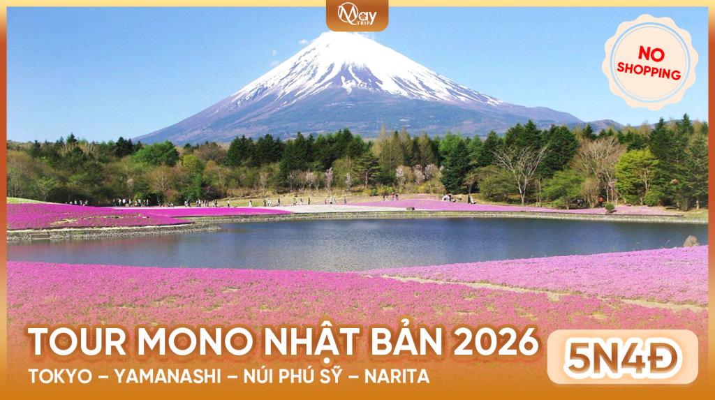 Tour Nhật Bản 2026: Dấu Ấn Mùa Hoa Rực Rỡ