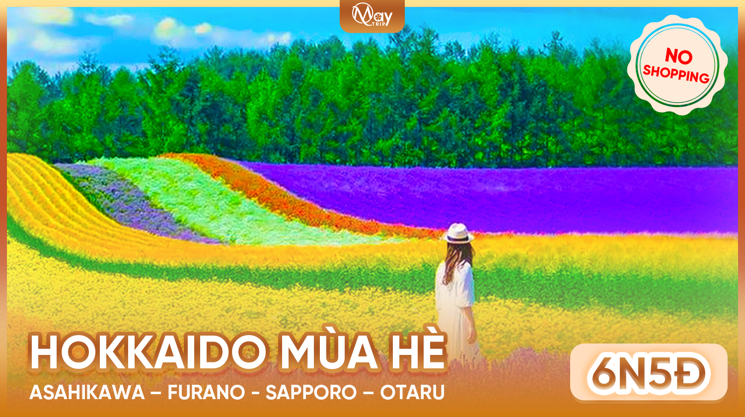 Tour Hokkaido Hè 2026: Asahikawa – Furano – Sapporo – Otaru